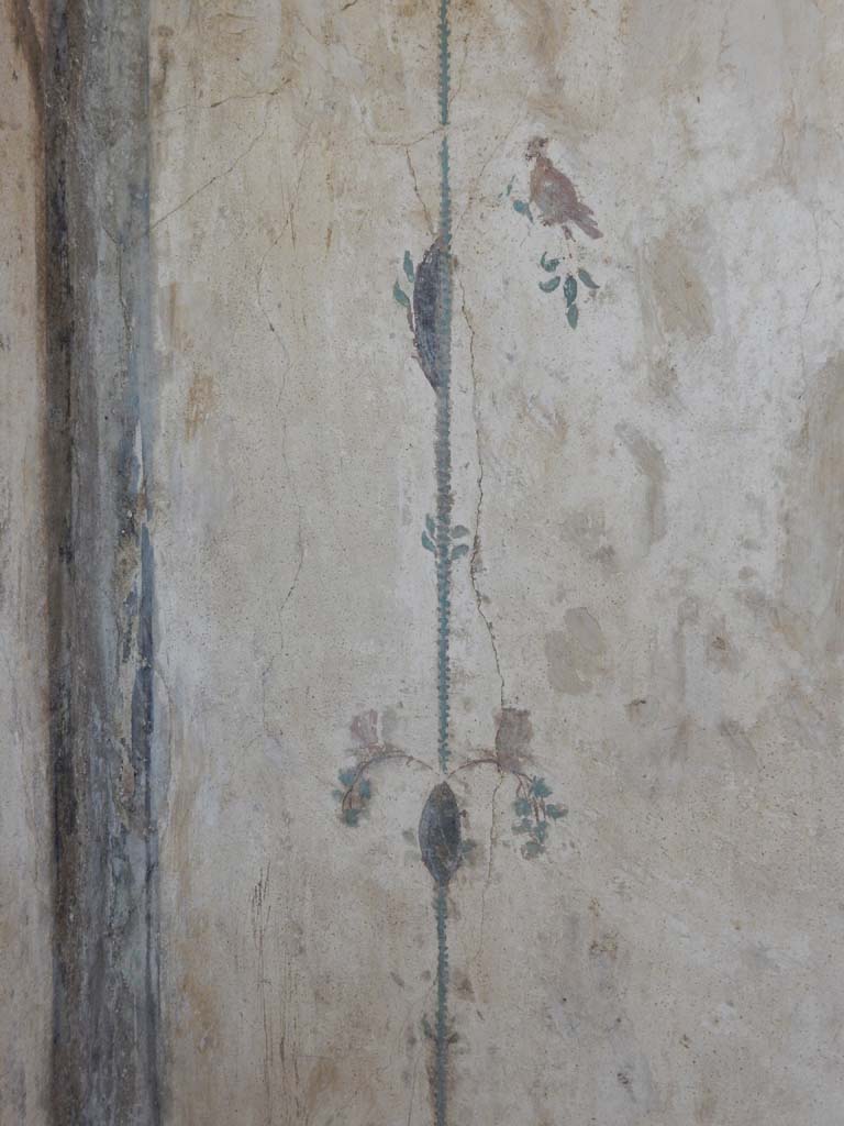 Stabiae, Villa Arianna, June 2019. Room 12, detail from north wall in north-west corner.
Photo courtesy of Buzz Ferebee.
