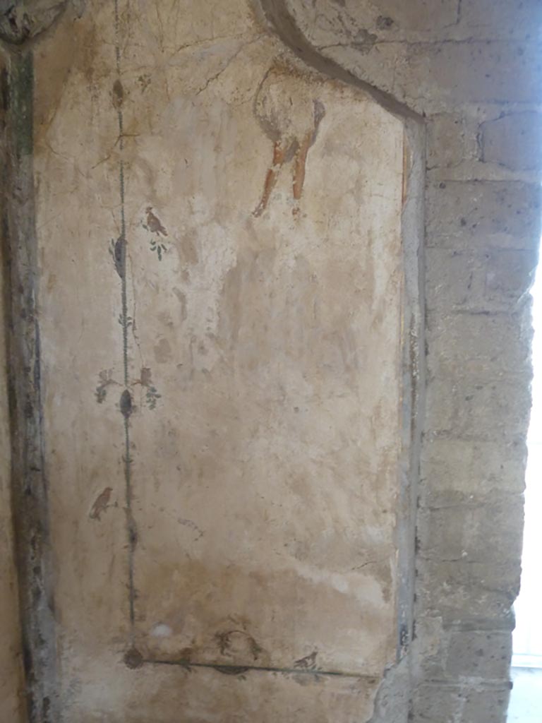 Stabiae, Villa Arianna, September 2015. Room 12, detail from north wall in north-west corner.