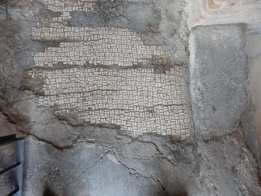 Stabiae, Villa Arianna, June 2019. Corridor 8, detail of flooring near entrance doorway.
Photo courtesy of Buzz Ferebee.
