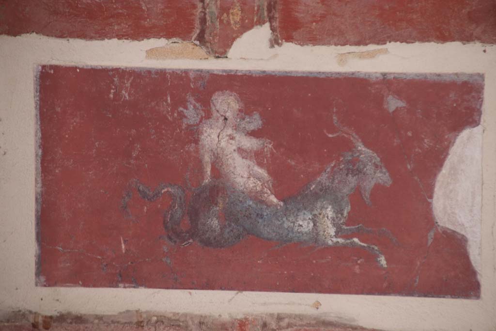 Stabiae, Villa Arianna, October 2020. Room 9, painted panel from east end of south wall. Photo courtesy of Klaus Heese.