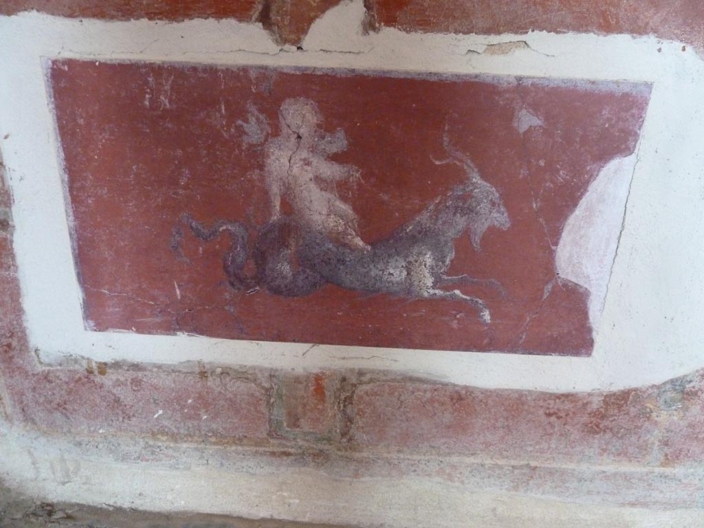 Stabiae, Villa Arianna, September 2015. Room 9, painted panel from zoccolo on east end of south wall.