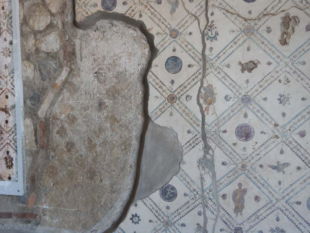 Stabiae, Villa Arianna, June 2019. Room 9, detail from west wall. Photo courtesy of Buzz Ferebee.


