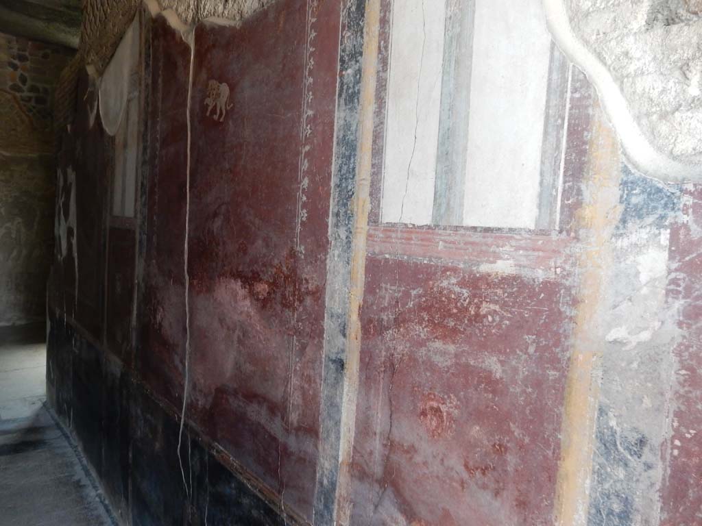 Stabiae, Villa Arianna, June 2019. Corridor 8, detail from west wall. Photo courtesy of Buzz Ferebee.