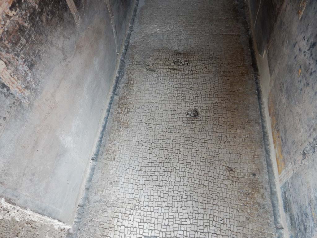 Stabiae, Villa Arianna, June 2019. Corridor 8, detail of flooring. Photo courtesy of Buzz Ferebee.