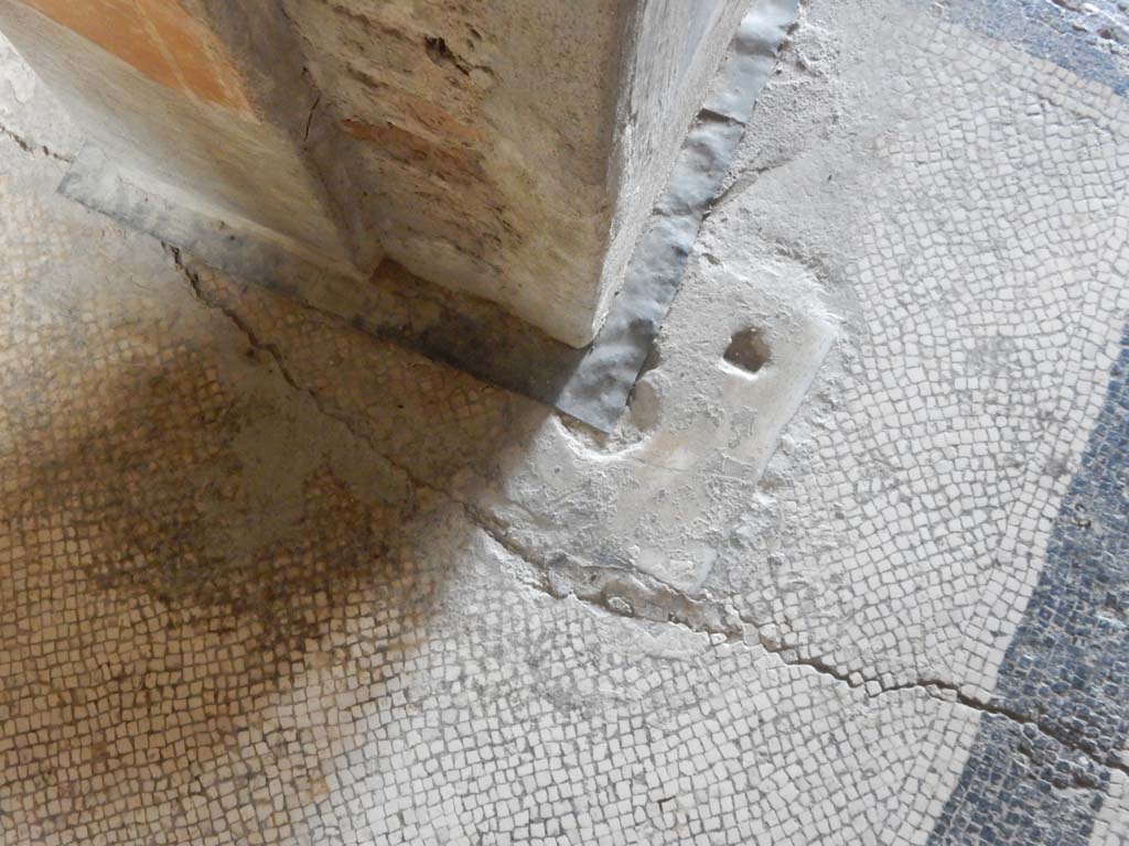 Stabiae, Villa Arianna, June 2019. Room 5, detail of floor in doorway threshold. Photo courtesy of Buzz Ferebee.