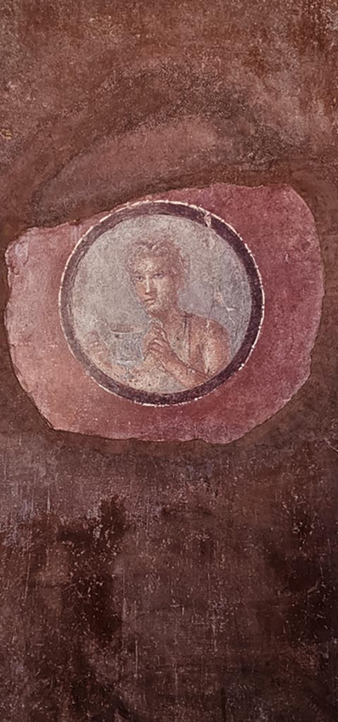 Stabiae, Villa Arianna, December 2023.
Room 7, copy of painted medallion of a young man from west end of south wall.
Photo courtesy of Miriam Colomer.
