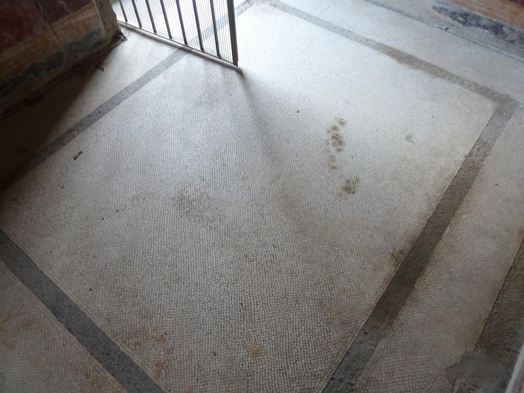 Stabiae, Villa Arianna, September 2015. Room 45, mosaic floor.