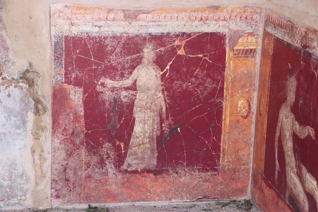 Stabiae, Villa Arianna, September 2021. 
Room 17, painted figure from zoccolo on south wall in south-west corner. Photo courtesy of Klaus Heese.
Described as a “Woman in white tiered dress”, height 1.2m x 99 cm width (47” x 40” inches).
This fresco shows a female clothed figure in white multi-tiered gown standing upright with her right arm gracefully outstretched and her left arm holding a laurel branch at her side. Her head is adorned with a tiara of beads and/or flowers and she is looking off into the distance.

