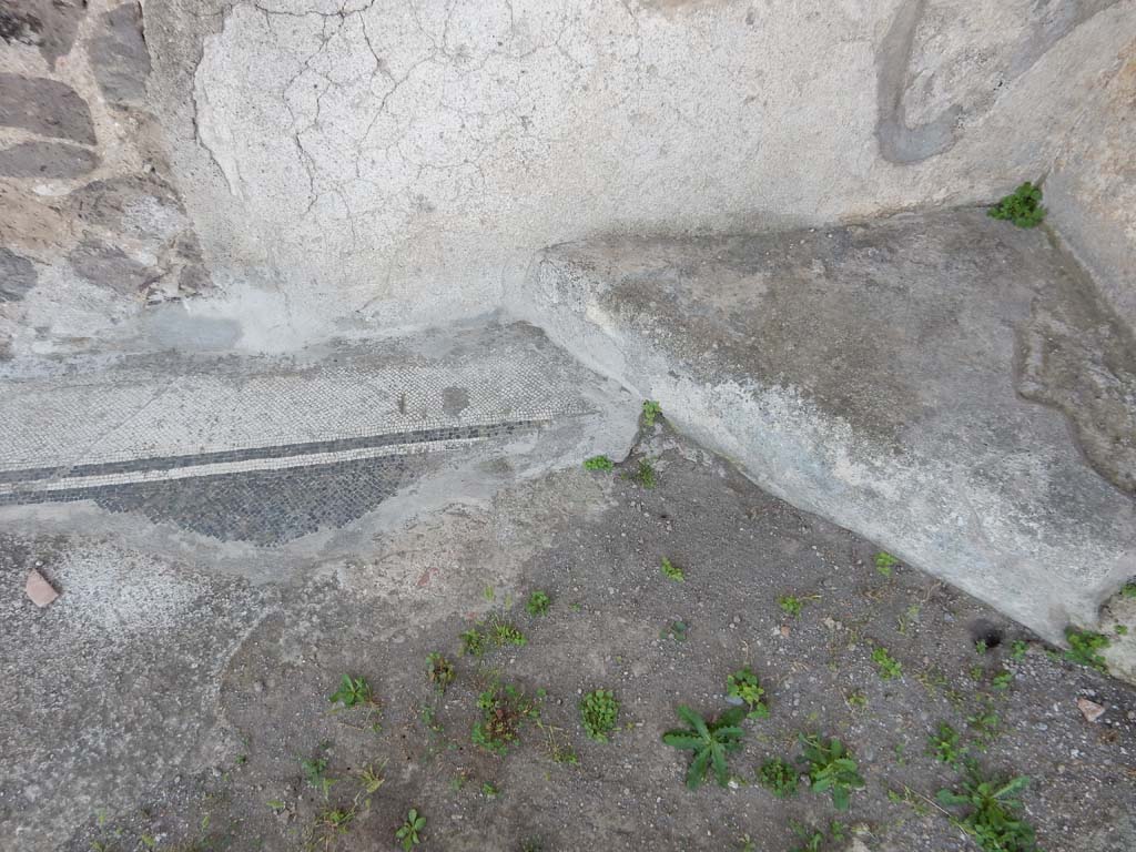 Stabiae, Villa Arianna, June 2019. Room 35, remains of mosaic flooring. Photo courtesy of Buzz Ferebee.
