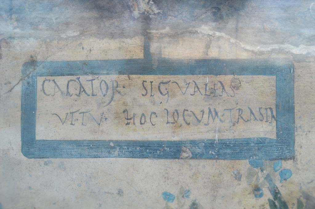 V.6.19 Pompeii. October 2017. 
In the top left-hand side of the painted lararium, CIL IV 6641 can be seen, written in the painted rectangle.
Foto Taylor Lauritsen, ERC Grant 681269 DÉCOR.

According to Della Corte, the unknown proprietor of the unexcavated house or workshop, had the warning added to the street shrine.
The wording, between good wishes and irony, was:
Cacator, sic valeas, ut tu hoc (sic) locum trasia(s)  (= transeas).    [CIL IV 6641]
See Della Corte, M., 1965. Case ed Abitanti di Pompei. Napoli: Fausto Fiorentino. (p.97)

According to Epigraphik-Datenbank Clauss/Slaby (See www.manfredclauss.de), it read:
Cacator, si<c=g> valeas
Ut tu hoc locum tra(n)sea(s)    [CIL IV 6641]

See also Spano, in Notizie degli Scavi di Antichità, 1910, p.262.

