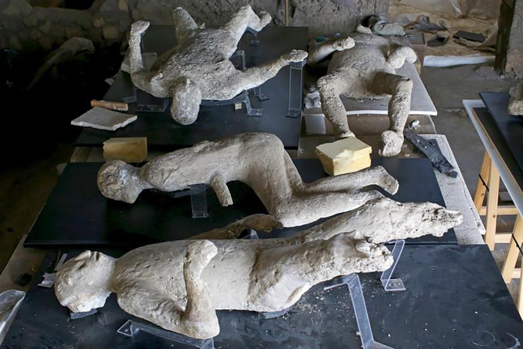 Victim 59 (front). 2015 during restoration. View of right side.
Victim 59 was an adult male over 20 years of age.
The body was found outside Porta Nola near the tomb of M. Obellius Firmus between the 2nd of August and the 21st of September 1976.
Near the body, in the layer of lapilli, a clay lantern was found, probably lost by the victim.
See Osanna, N., Capurso, A., e Masseroli, S. M., 2021. I Calchi di Pompei da Giuseppe Fiorelli ad oggi: Studi e Ricerche del PAP 46, p. 459-460, Calco n. 59.

