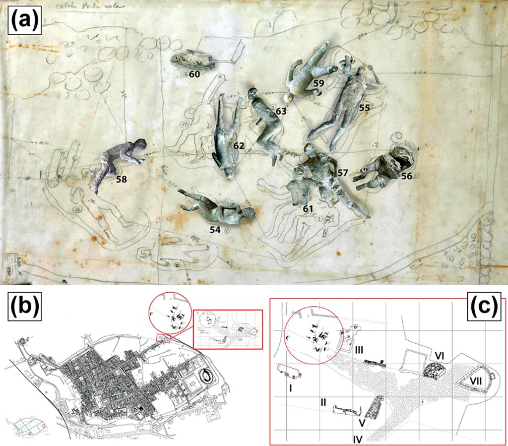 Victim 63. Location of casts from Porta Nola. 
(a) Original position of some of the studied Porta Nola casts (#57, #62, #58, #54, #55). (b) Map of Pompeii. (c) Detail of casts discovery area (I: Burials of Praetorians; II: Modern Masonries; III: Tomb of Obellius Firmus; IV: Porta Nola; V: Leakpan; VI: Tomb of Esquilia Polla; VII: Anonymous Tomb). 
Photo courtesy of The Casts of Pompeii Project. Use subject to CC BY 4.0 Deed 
See Alapont L, Gallello G, Martinón-Torres M, Osanna M, Amoretti V, Chenery S, et al. (2023) The casts of Pompeii: Post-depositional methodological insights. PLoS ONE 18(8): e0289378, fig. 1. https://doi.org/10.1371/journal.pone.0289378 
