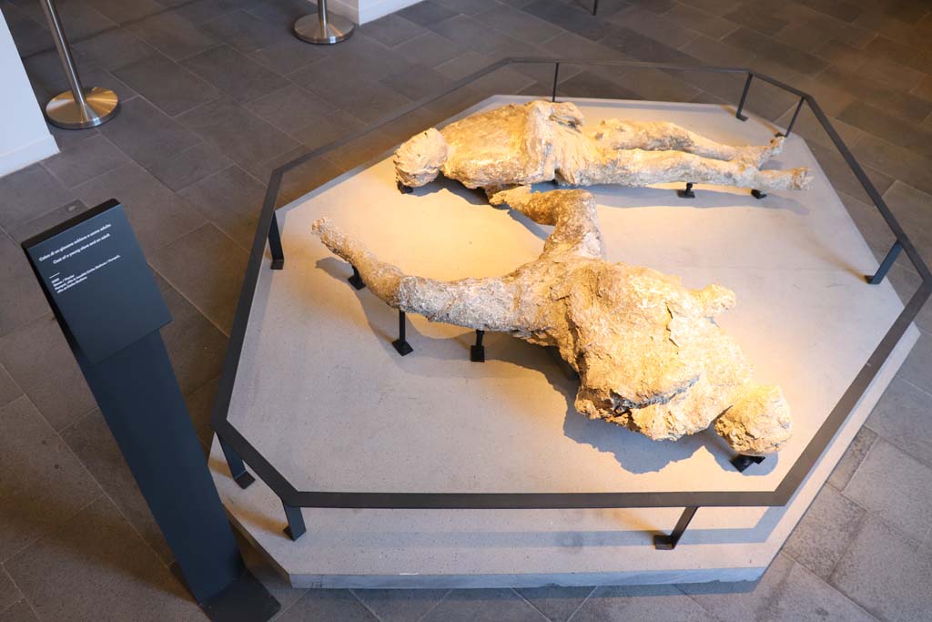 Victims 92 and 93. February 2021. Plaster-cast of victim 92, a young slave (rear) and victim 93, an adult man (front), from Cività Giuliana, in Pompeii Antiquarium.
Photo courtesy of Fabien Bièvre-Perrin (CC BY-NC-SA).

Vittime 92 e 93. Febbraio 2021. Calco in gesso della vittima 92, un giovane schiavo (dietro) e della vittima 93, un uomo adulto (davanti), da Cività Giuliana, all'Antiquarium di Pompei. 
Foto per gentile concessione di Fabien Bièvre-Perrin (CC BY-NC-SA). 

VIII.1.4 Pompei. Febbraio 2021. Calco in gesso della vittima 92, un giovane schiavo (dietro) e della vittima 93, un uomo adulto (davanti), da Cività Giuliana, all'Antiquarium di Pompei. 
Foto per gentile concessione di Fabien Bièvre-Perrin (CC BY-NC-SA). 


