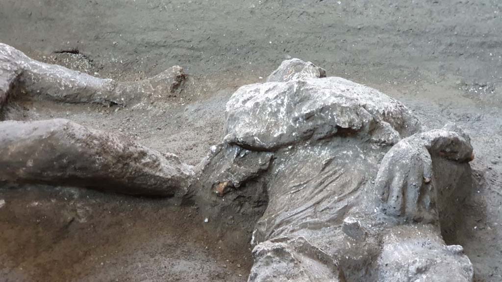 November 2020. Victim 92, upper torso.
The presence of a series of vertebral compressions, unusual in a young man of his age, would suggest that he had carried out hard manual work. He could therefore have been a slave. 

Novembre 2020. Vittima 92, torso superiore.
La presenza di una serie di schiacciamenti vertebrali, inusuali per la giovane età dell’individuo, fa ipotizzare anche lo svolgimento di lavori pesanti. Poteva dunque trattarsi di uno schiavo.  

Photograph © Parco Archeologico di Pompei.

