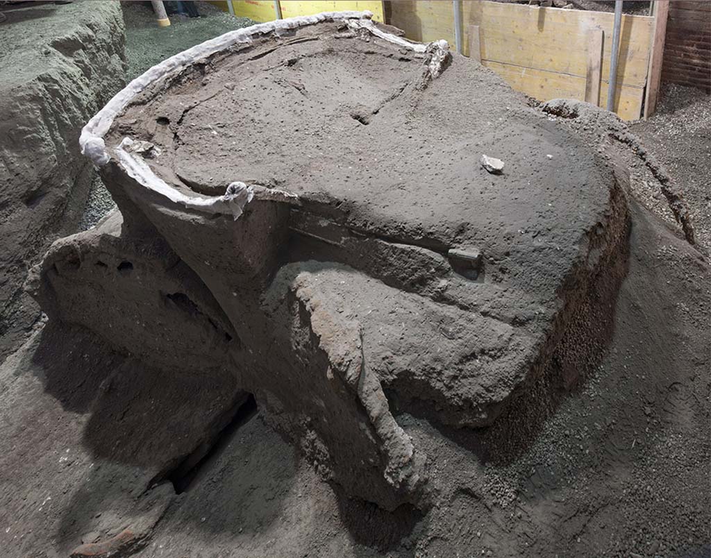 Cività Giuliana. February 2021. Archaeobotanical analyses were also conducted in this instance, which showed that the wood used to create the side structures and rear of the chariot, to which the bronze decorative elements were fixed with small nails and clamps, was beech, which is particularly suitable for this kind of production.

Cività Giuliana. Febbraio 2021. Anche in questo caso si sono svolte analisi archeobotaniche che hanno mostrato come il legno della strutture del carro e delle ruote sia frassino, elastico e leggero- come riportato da Plinio- mentre gli elementi decorativi in bronzo erano sostenuti da faggio, particolarmente adatto a questo tipo di lavorazione.

Photograph © Parco Archeologico di Pompei.
