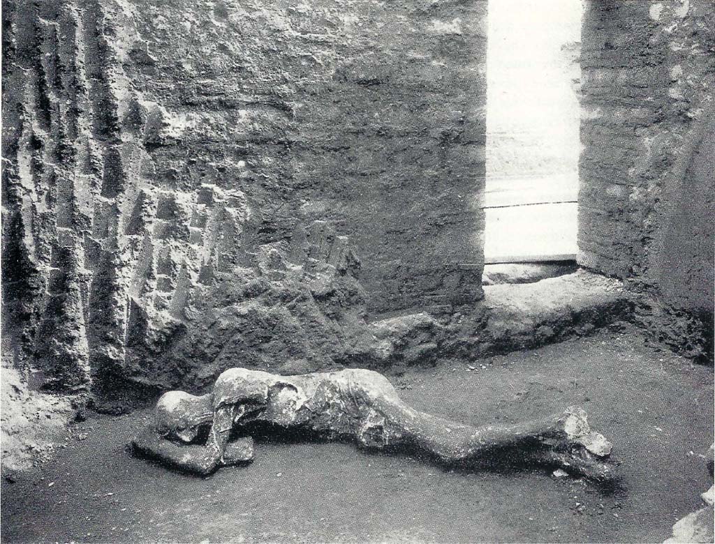 Villa of Mysteries, Pompeii. 1929-30. Victim 25. Room 35. The Ostiarius? 
He was found lying down on the layer of ashes deposited on the floor of a dark and low room (n. 35). Under the skullcap, the strongly hooked nose, the line of the neck and the thinness of the cheeks show the typical Italic worker from Campania.
Villa dei Misteri, Pompei. 1929-30. Vittima 25. Ambiente 35. L'ostiario? 
Lo si rinvenne coricato bocconi sullo strato di cenere depositato sul pavimento d'un buio e basso stanzino (n. 35). Sotto la calotta cranica, si delinea, nel naso fortemente adunco, nella linea del collo, nella magrezza delle guance, il tipo italico del lavoratore campano.
See/Vedi Maiuri A., 1967. La Villa dei Misteri. Istituto poligrafico dello stato/libreria dello stato, p.10.
