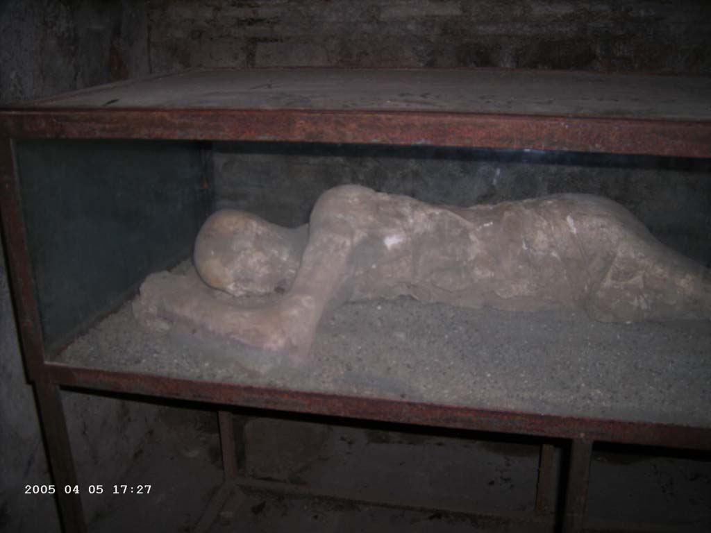 Villa of Mysteries, Pompeii. April 2005. Victim 25. Room 35, plaster-cast of a man found in this room. Photo courtesy of Klaus Heese.
On the little finger of his left hand was an iron ring with an engraved carnelian of a female figurine.
Five bronze coins and one whip formed the property carried by this faithful servant who had wanted to die at his post.
Nel mignolo della mano sinistra era un anello in ferro con una corniola incisa d'una figurina muliebre.
Cinque monete in bronzo ed una del tutto frusta, formavano il peculio che portava con sé questo servo fedele che aveva voluto morire al suo posto di custodia.
See/Vedi Maiuri A., 1967. La Villa dei Misteri. Istituto poligrafico dello stato/libreria dello stato, p.10.