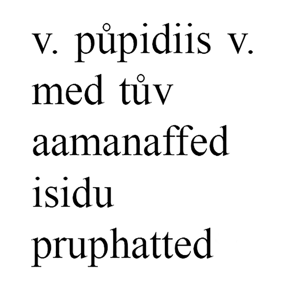 Pompeii Porta Nola. Oscan inscription found on the inner (city) side of the arch.
v pupidiis v
med tuv
aamanaffed
isidu
pruphatted

According to Van der Graaff –
“An inscription at the Porta Nola implies that some sort of individual euergetism went into the construction of the vaults.
Here the patron prominently associated himself with its reconstruction by means of a text written in Oscan to address the local audience.
See Van der Graaff, I. (2018). The Fortifications of Pompeii and Ancient Italy. Routledge, (p.98-99, Note 88.)
