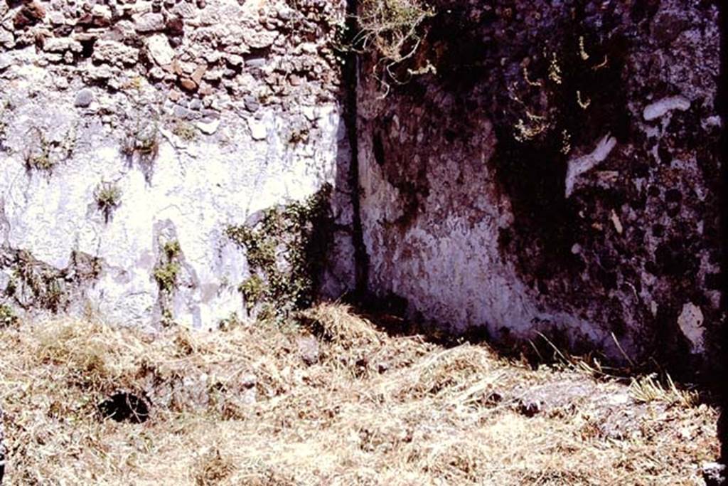 I.2.10 Pompeii. 1972. Looking towards the north-east corner of peristyle garden. Photo by Stanley A. Jashemski. 
Source: The Wilhelmina and Stanley A. Jashemski archive in the University of Maryland Library, Special Collections (See collection page) and made available under the Creative Commons Attribution-Non Commercial License v.4. See Licence and use details. J72f0053 
