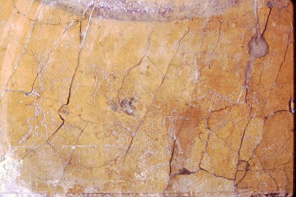 I.6.2 Pompeii, 1968. Graffiti on south wall of oecus.  Photo by Stanley A. Jashemski.
Source: The Wilhelmina and Stanley A. Jashemski archive in the University of Maryland Library, Special Collections (See collection page) and made available under the Creative Commons Attribution-Non Commercial License v.4. See Licence and use details.
J68f0536
