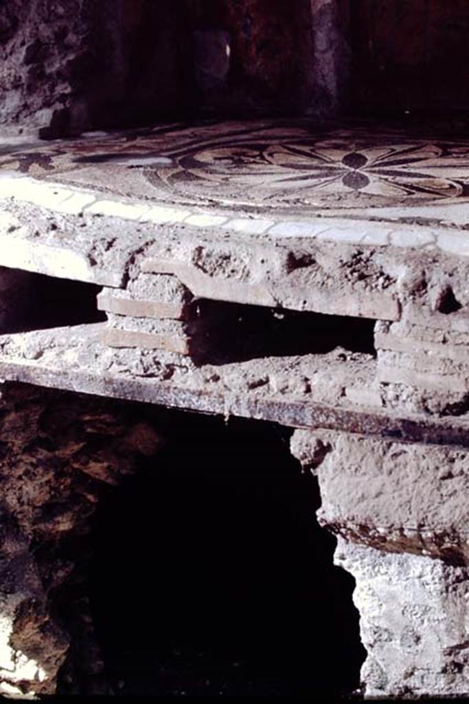 I.6.16 Pompeii, 1968.  Mosaic floor and hypocaust in baths area. Photo by Stanley A. Jashemski.
Source: The Wilhelmina and Stanley A. Jashemski archive in the University of Maryland Library, Special Collections (See collection page) and made available under the Creative Commons Attribution-Non Commercial License v.4. See Licence and use details.
J68f0629
