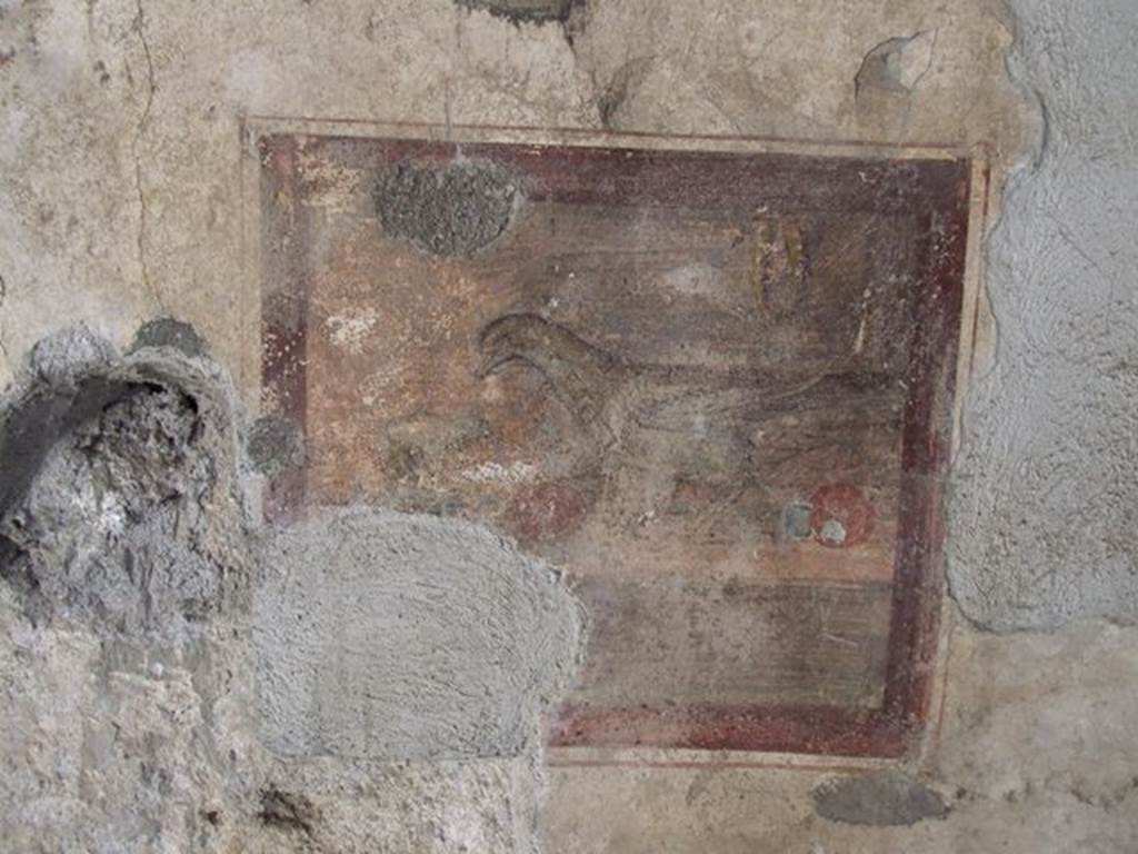 I.7.11 Pompeii. December 2006. Wall painting of bird with vase, on east wall under window