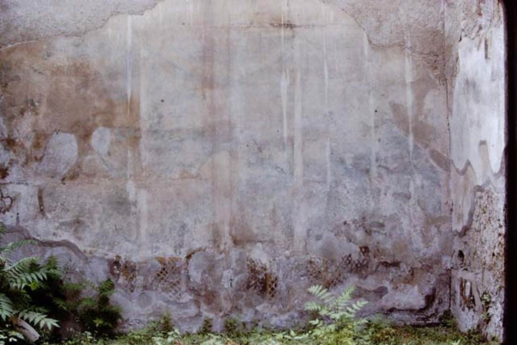 I.7.19 Pompeii. 1972. South wall with remains of garden painting. Photo by Stanley A. Jashemski. 
Source: The Wilhelmina and Stanley A. Jashemski archive in the University of Maryland Library, Special Collections (See collection page) and made available under the Creative Commons Attribution-Non Commercial License v.4. See Licence and use details. J72f0102
