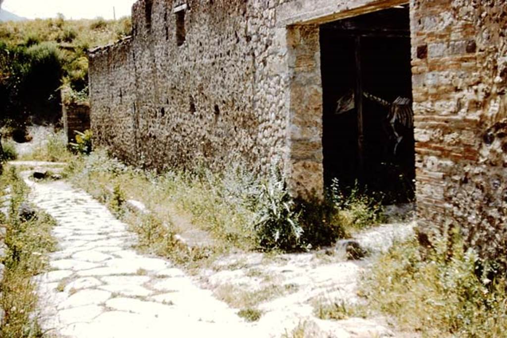 I.8.12 Pompeii. 1961. Entrance doorway, and roadway looking south towards Via di Castricio.  Photo by Stanley A. Jashemski.
Source: The Wilhelmina and Stanley A. Jashemski archive in the University of Maryland Library, Special Collections (See collection page) and made available under the Creative Commons Attribution-Non Commercial License v.4. See Licence and use details.
J61f0341
