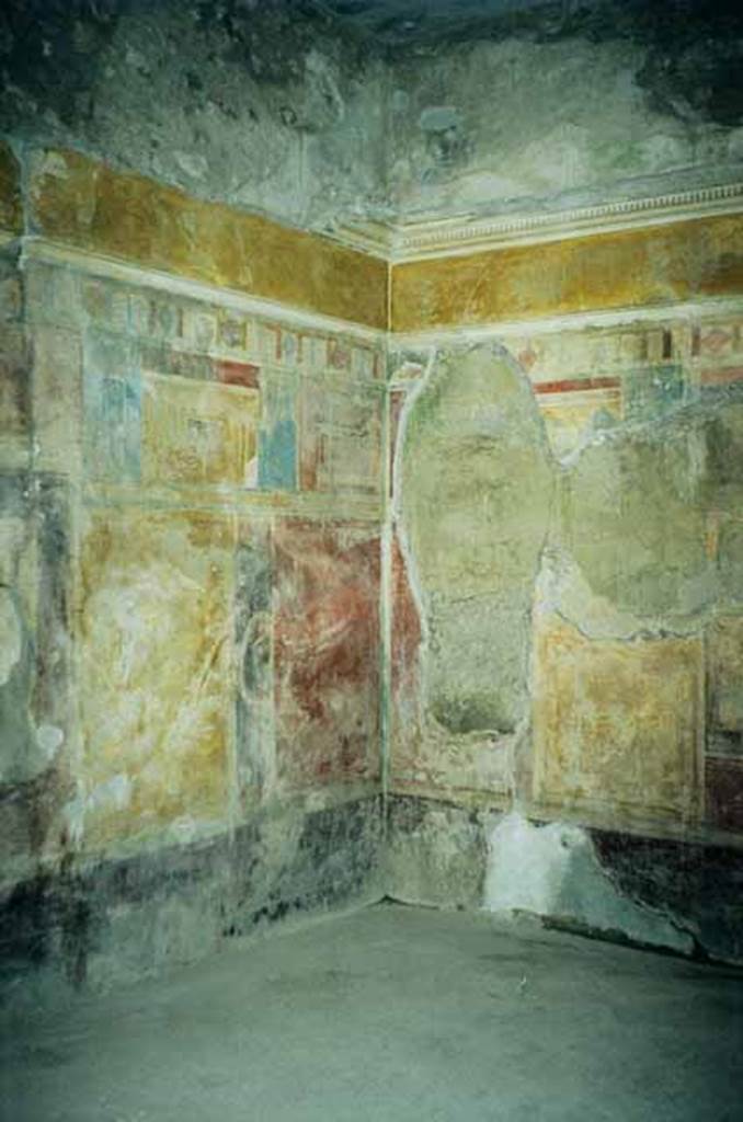 I.8.17 Pompeii. June 2010. Room 9, north-east corner. 
Photo courtesy of Rick Bauer.
