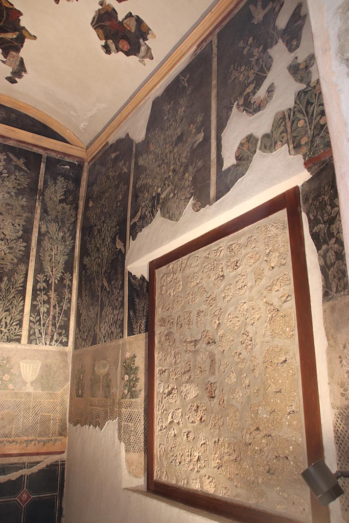 I.9.5 Pompeii. October 2024.
Room 11, looking towards south-east corner and south wall with garden painting of birds in a pear tree.
Photo courtesy of Klaus Heese
