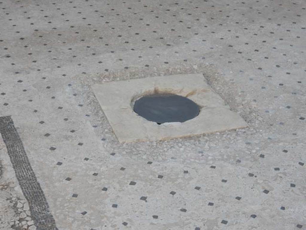 I.9.5 Pompeii. May 2017. Room 3, detail of cistern mouth in atrium flooring. Photo courtesy of Buzz Ferebee.

