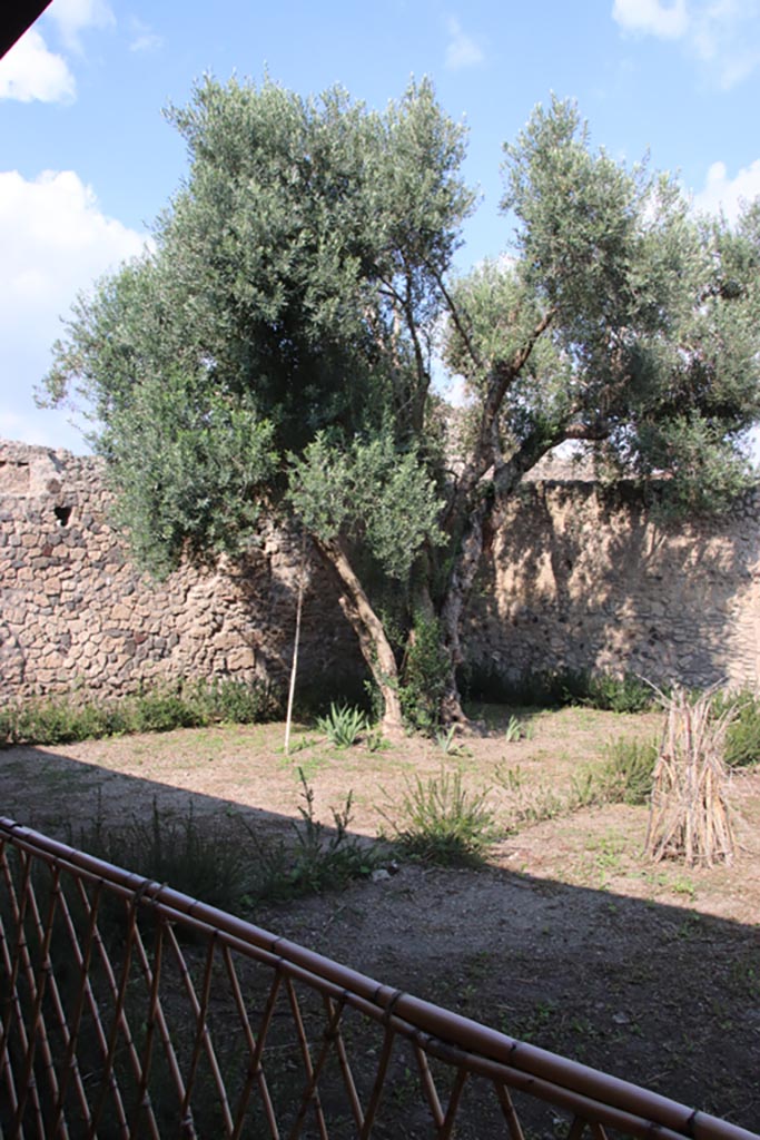 I.9.14 Pompeii. October 2022. 
Room 1, looking towards north-east corner of upper garden area. Photo courtesy of Klaus Heese.

