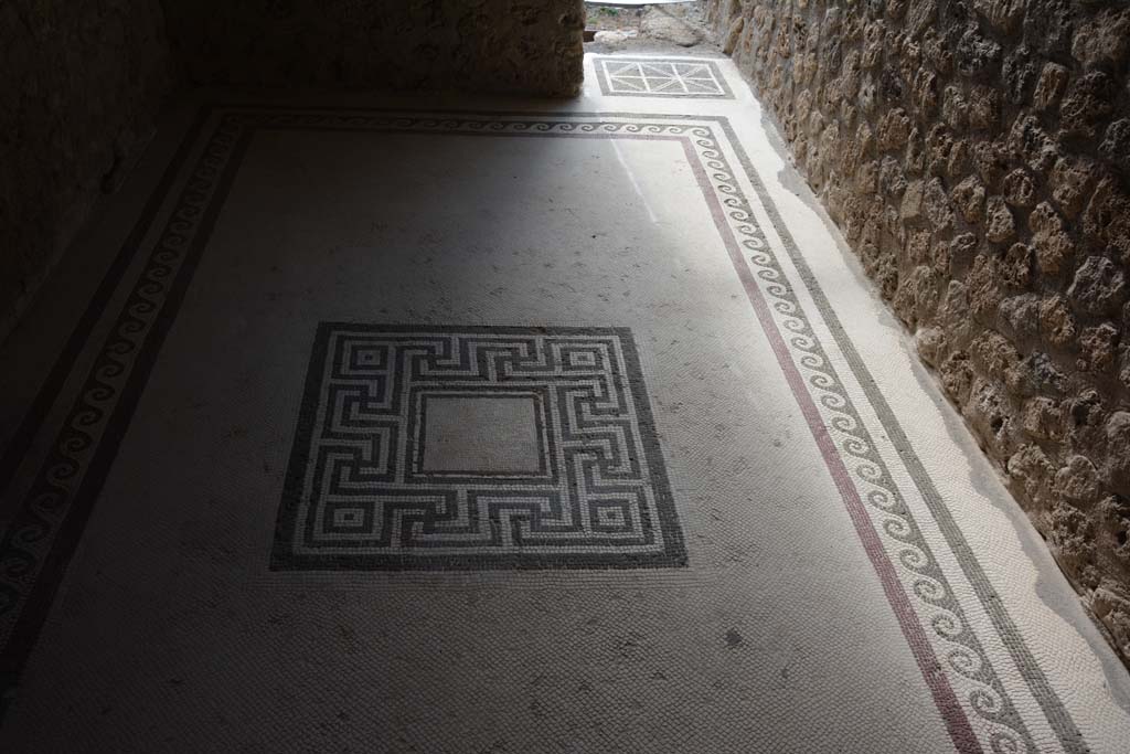 I.10.4 Pompeii. September 2019. Room 47, looking west across mosaic floor
Foto Annette Haug, ERC Grant 681269 DÉCOR.
