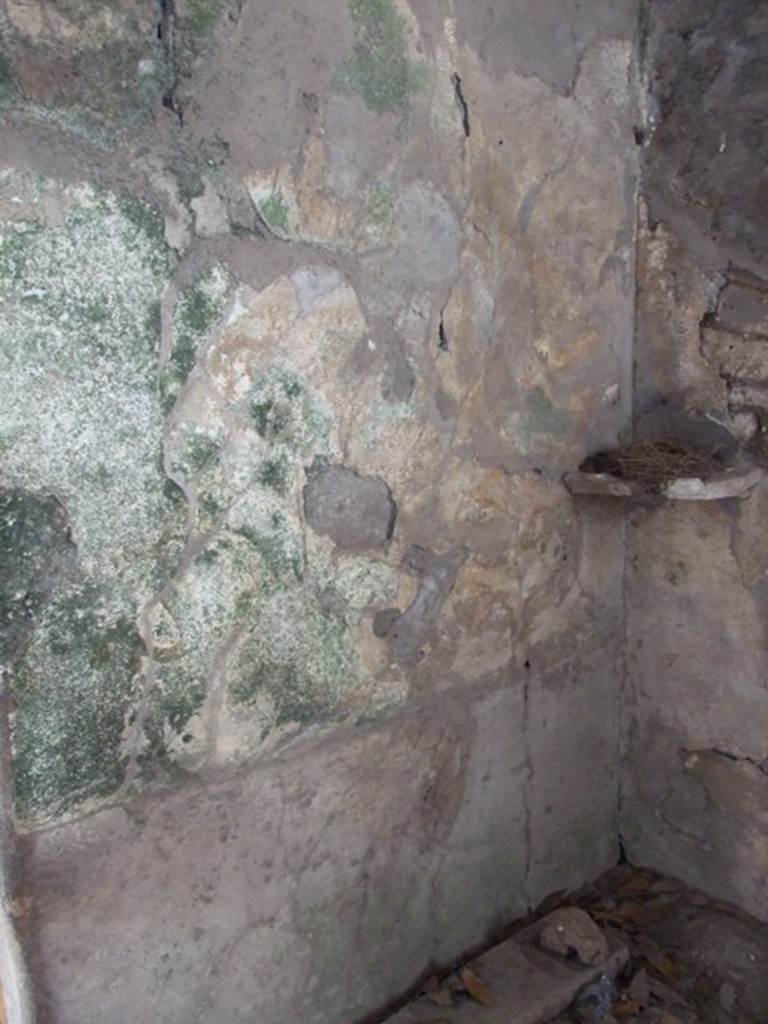 I.10.7 Pompeii. March 2009. Room 9, south wall.  
Remains of lararium, with painting of two serpents.
According to Boyce, the west end of the portico was closed off as a kitchen.
On the south wall beside the large hearth was a panel of white stucco.
Within were painted two large coiling serpents, yellow with scales indicated in red.
Both have a crest and beard and a protruding tongue.
Both coil from the left, one above the other, approaching a marble slab adorned with a lions head in relief.
This was set into the corner formed by the hearth and the south wall of the room at the level of their heads.
In the background were plants.
See Notizie degli Scavi di Antichit, 1934, 282, and fig.8.
See Boyce G. K., 1937. Corpus of the Lararia of Pompeii. Rome: MAAR 14. (p.29, no.56, and Pl.27, 2) 

