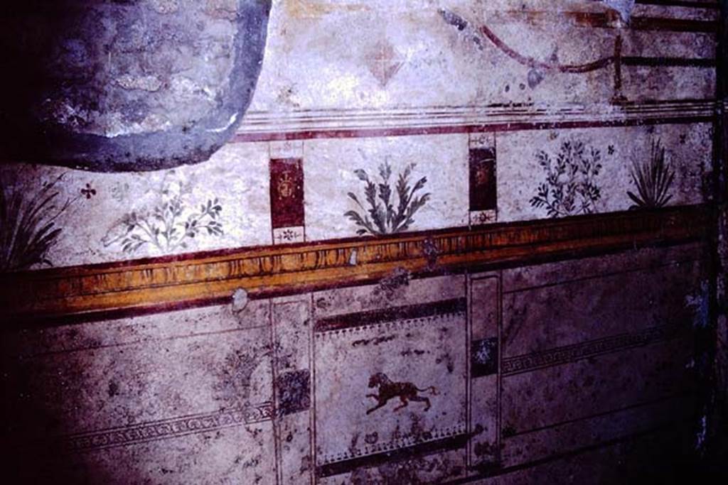 I.10.8 Pompeii. 1966. Room 8, east wall of tablinum. Photo by Stanley A. Jashemski.
Source: The Wilhelmina and Stanley A. Jashemski archive in the University of Maryland Library, Special Collections (See collection page) and made available under the Creative Commons Attribution-Non Commercial License v.4. See Licence and use details.
J66f0520
