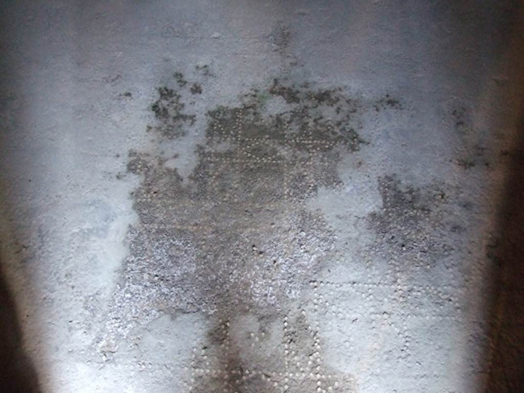 I.10.11 Pompeii.  March 2009.  Room 12.  Cubiculum.  Patterned floor.