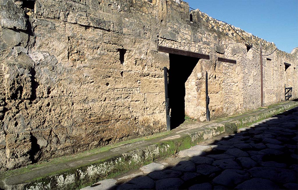 I.14.2 Pompeii. Entrance on Via di Nocera.
Fig. 145  Faade de la maison I 14, 2 sur la via di Nocera, vue du sud au nord ( CNRS-CCJ, Christine Durand).
Voir Chapitre 2 : Latelier de fabrication de nattes de la via di Nocera (I 14, 2) in Magali Cullin-Mingaud, 2010. La vannerie dans l'Antiquit romaine: Collection du Centre Jean Brard 35. Paris. Centre Jean Berard, p. 129-171, fig. 145.
https://books.openedition.org/pcjb/706
