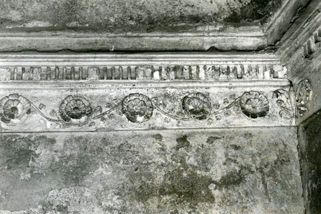 I.15.3 Pompeii. 1972. Room 6. House of Ship Europa, W cubiculum, back N wall, details of rosettes.  Photo courtesy of Anne Laidlaw.
American Academy in Rome, Photographic Archive. Laidlaw collection _P_72_17_18.
