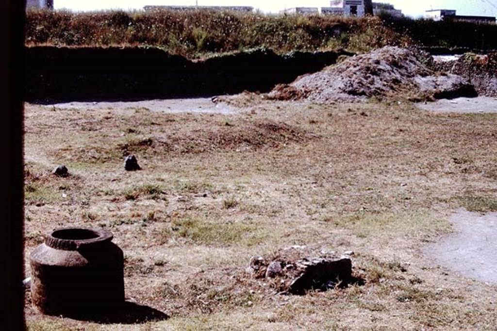 I.20.1 Pompeii. 1972. Looking south-west across vineyard. Photo by Stanley A. Jashemski. 
Source: The Wilhelmina and Stanley A. Jashemski archive in the University of Maryland Library, Special Collections (See collection page) and made available under the Creative Commons Attribution-Non Commercial License v.4. See Licence and use details. J72f0556
