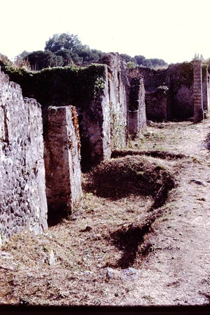 I.21.5 Pompeii. 1972. Entrance, on left, and doorway to I.21.4, linked shop. Looking west along Via della Palestra. Photo by Stanley A. Jashemski. 
Source: The Wilhelmina and Stanley A. Jashemski archive in the University of Maryland Library, Special Collections (See collection page) and made available under the Creative Commons Attribution-Non Commercial License v.4. See Licence and use details. J72f0576
