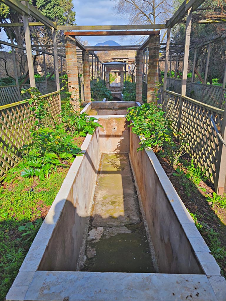 II.2.2 Pompeii. March 2024. 
Room “l”, (L), garden. Looking north from south end of garden. Photo courtesy of Giuseppe Ciaramella.
