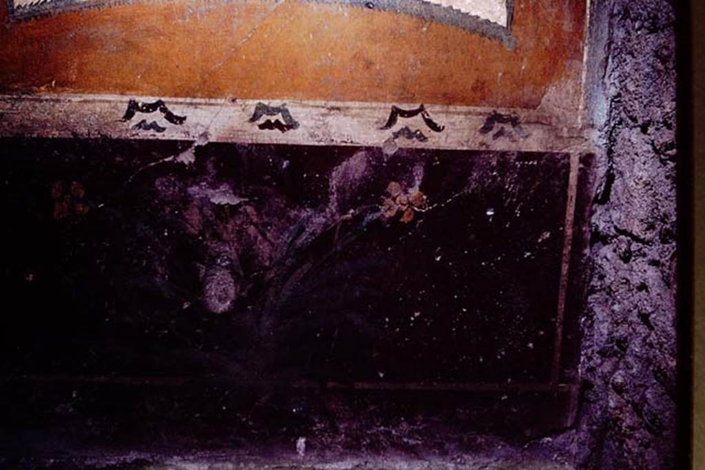 II.3.3. Pompeii. 1966. Painted zoccolo with garden plant. Photo by Stanley A. Jashemski.
Source: The Wilhelmina and Stanley A. Jashemski archive in the University of Maryland Library, Special Collections (See collection page) and made available under the Creative Commons Attribution-Non Commercial License v.4. See Licence and use details.
J66f0634

