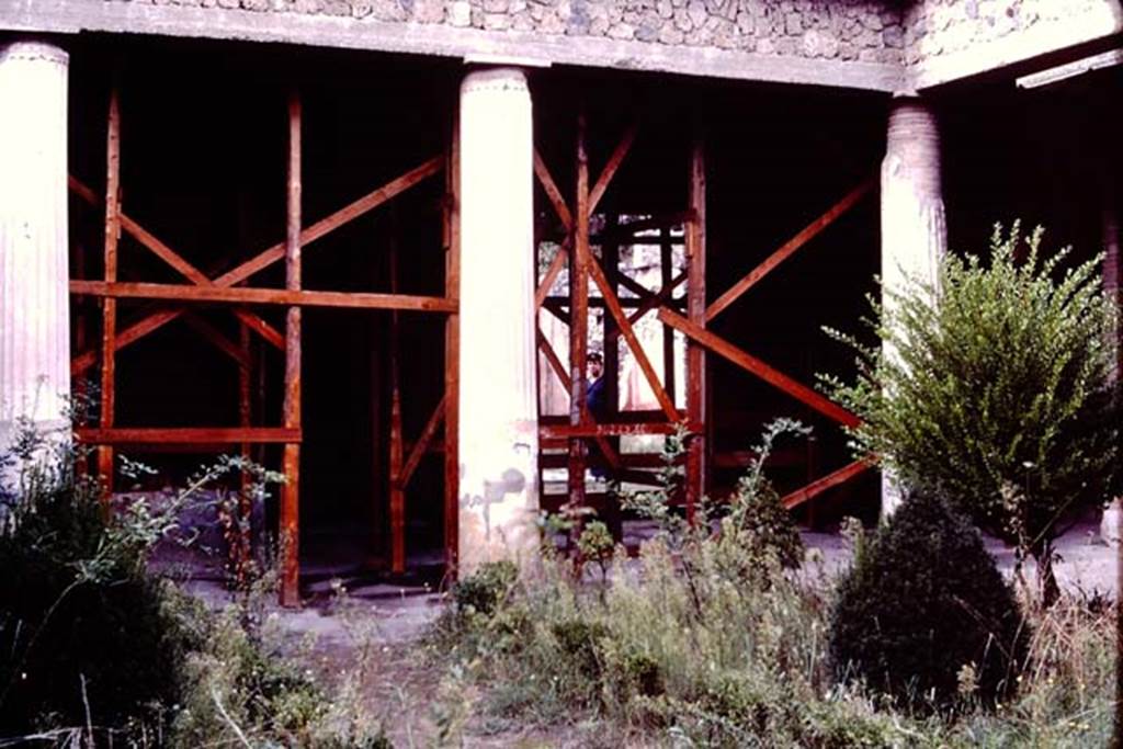 II.3.3 Pompeii, 1982 or 1983. Looking towards north portico and doorway to atrium.    
Source: The Wilhelmina and Stanley A. Jashemski archive in the University of Maryland Library, Special Collections (See collection page) and made available under the Creative Commons Attribution-Non Commercial License v.4. See Licence and use details. J80f0456

