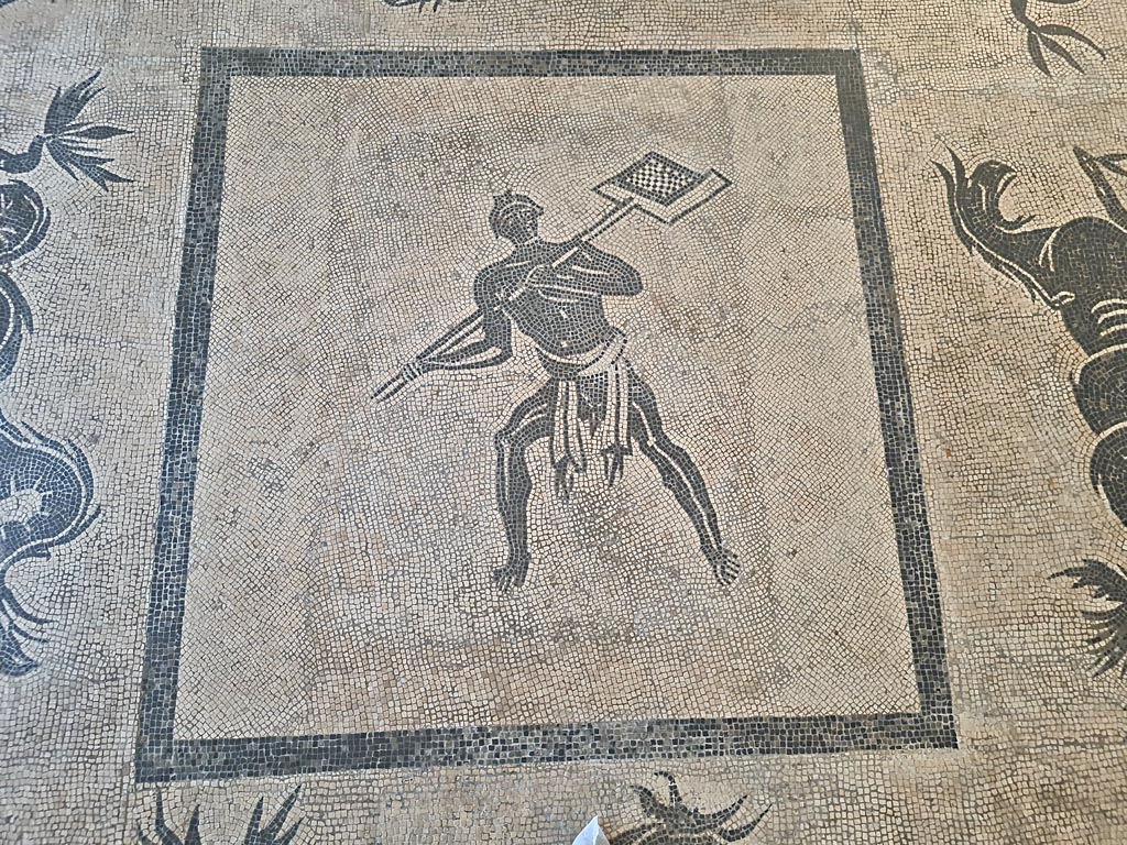 II.4.6 Pompeii. July 2019. Mosaic floor with a marine scene with dolphins and tritones.
On display in Naples Archaeological Museum. Photo courtesy of Giuseppe Ciaramella.


