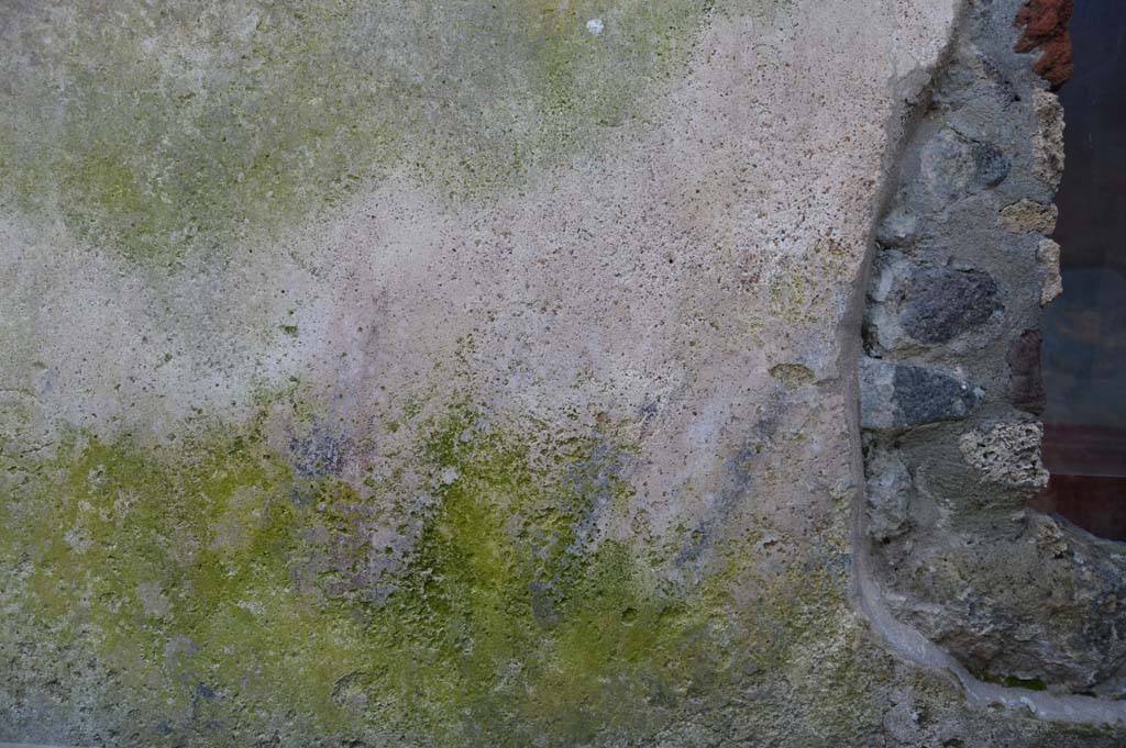 II.4.10 Pompeii. March 2019. Detail of exterior south wall in peristyle/garden area.
Foto Taylor Lauritsen, ERC Grant 681269 DÉCOR.

