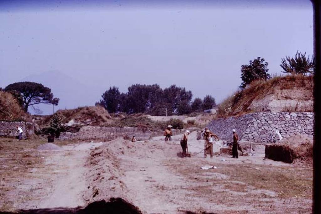 II.5 Pompeii. 1970.  Looking north.  Photo by Stanley A. Jashemski.
Source: The Wilhelmina and Stanley A. Jashemski archive in the University of Maryland Library, Special Collections (See collection page) and made available under the Creative Commons Attribution-Non Commercial License v.4. See Licence and use details.
J70f0652
