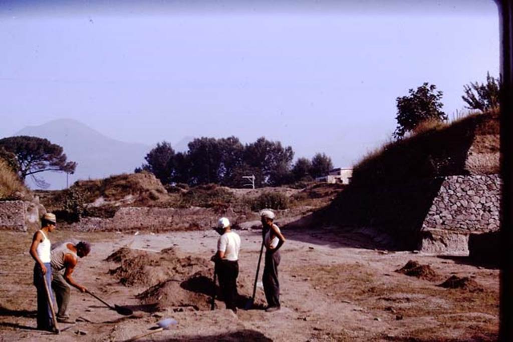 II.5 Pompeii. 1970.  Looking north.  Photo by Stanley A. Jashemski.
Source: The Wilhelmina and Stanley A. Jashemski archive in the University of Maryland Library, Special Collections (See collection page) and made available under the Creative Commons Attribution-Non Commercial License v.4. See Licence and use details.
J70f0669
