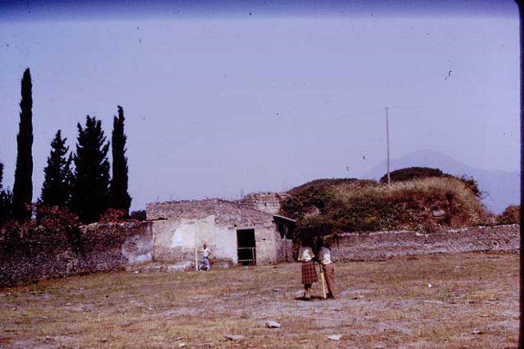 II.5 Pompeii. 1970. Looking north.   Photo by Stanley A. Jashemski.
Source: The Wilhelmina and Stanley A. Jashemski archive in the University of Maryland Library, Special Collections (See collection page) and made available under the Creative Commons Attribution-Non Commercial License v.4. See Licence and use details.
J70f0793
