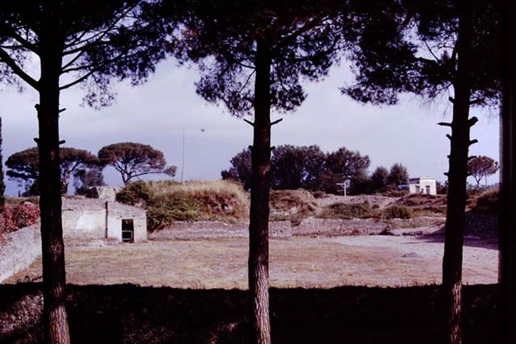 II.5 Pompeii. 1970. Looking south across completed site.   Photo by Stanley A. Jashemski.
Source: The Wilhelmina and Stanley A. Jashemski archive in the University of Maryland Library, Special Collections (See collection page) and made available under the Creative Commons Attribution-Non Commercial License v.4. See Licence and use details.
J70f0804
