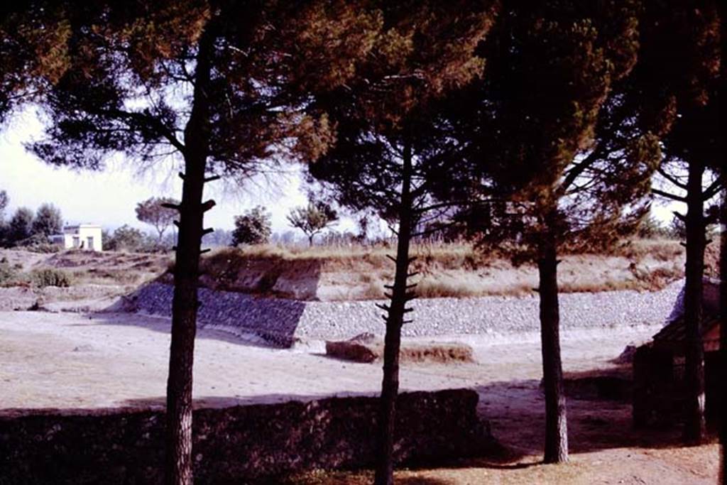 II.5 Pompeii. 1970. Looking north across completed site.  Photo by Stanley A. Jashemski.
Source: The Wilhelmina and Stanley A. Jashemski archive in the University of Maryland Library, Special Collections (See collection page) and made available under the Creative Commons Attribution-Non Commercial License v.4. See Licence and use details.
J70f0721
